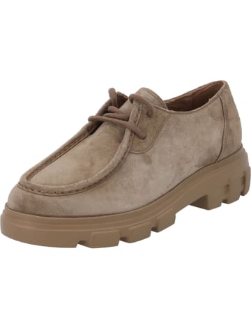 Paul Green Schnürschuhe in braun