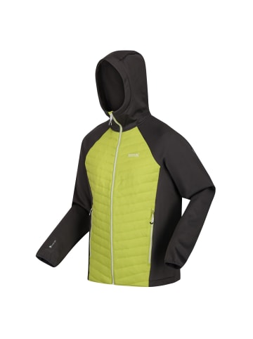 Regatta Softshelljacke Hybrid Andreson VII in Grau-Lime