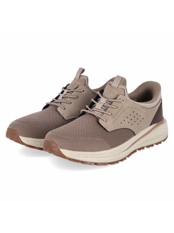 Skechers Schnürhalbschuh in taupe