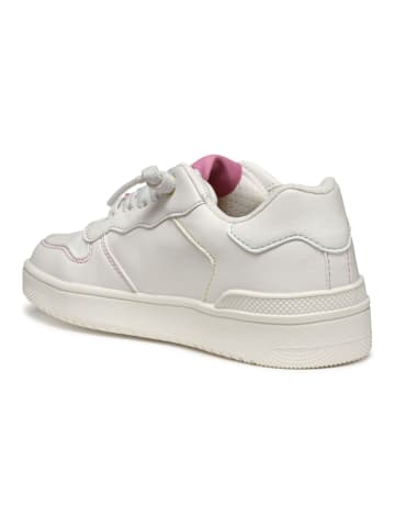 Geox Sneaker in Weiß Kombi