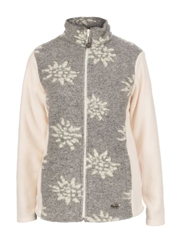 Alp1964 Jacke 296501 in silver