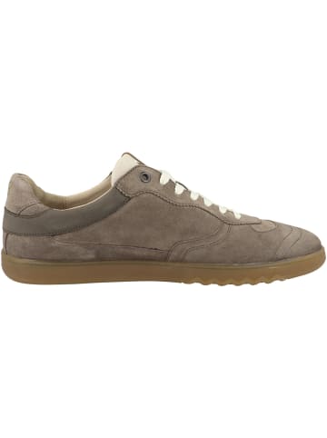 Floris van Bommel Sneaker low De Zaler 04.00 in braun