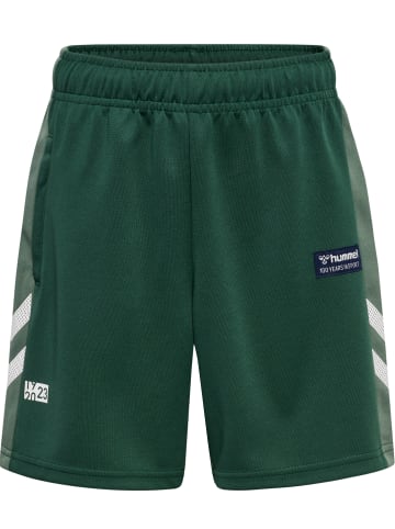 Hummel Hummel Kurze Hose Hmlruphus Multisport Jungen in PINENEEDLE