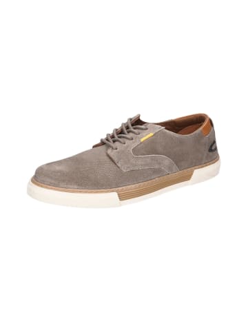 Camel Schnürschuhe in khaki