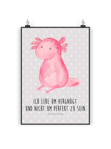 Mr. & Mrs. Panda Wandschmuck Axolotl Niedlich mit Spruch in Grau Pastell