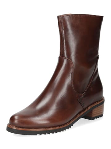 Everybody Stiefelette BEE in Kastanie