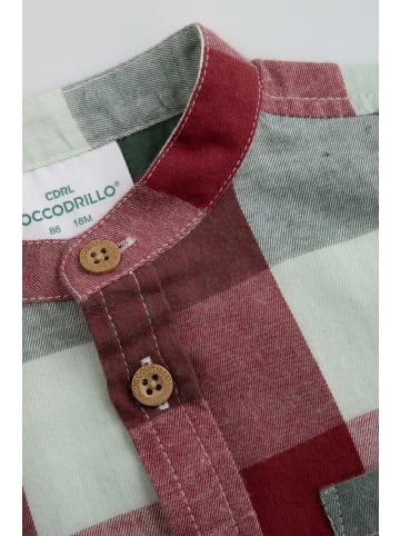 Coccodrillo Langarmhemd in bunt