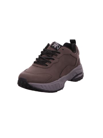 WALDLÄUFER Pero Pero in moro