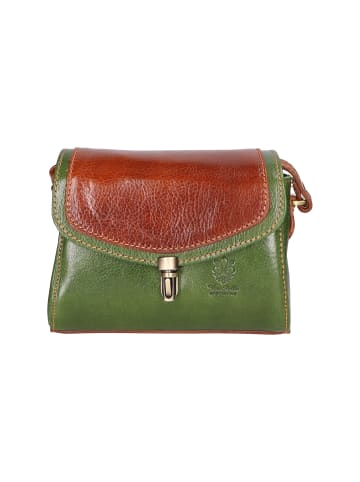 Gave Lux Crossbody in GREEN + BROWN