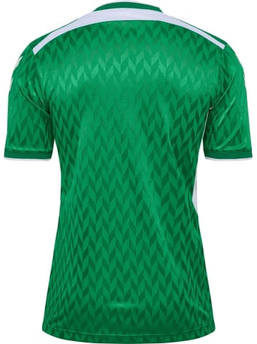 Hummel Sportshirt "Match Legend Jerseys S/S" in Multicolor