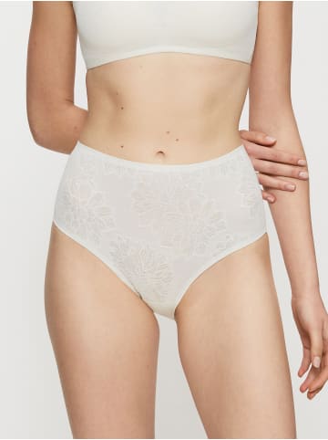 Triumph Maxislip Fit Smart Maxi EX in CHRYSANTHEME