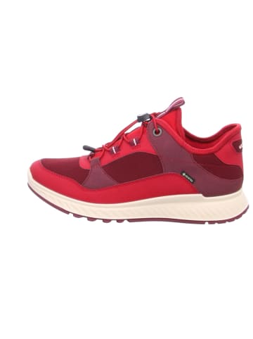 Ecco Freizeit Schnürer für Damen in rot