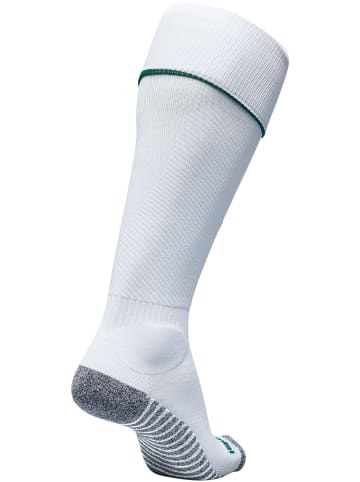 Hummel Fußball Socken Pro Football Erwachsene in WHITE/EVERGREEN