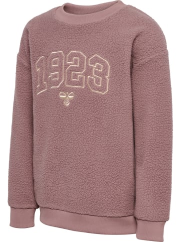 Hummel Hoodie "Hmlcosso Sweatshirt" in Lila