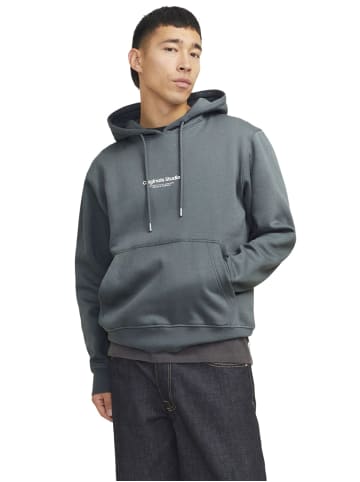 Jack & Jones Sweatshirt JORVESTERBRO in Grau