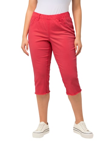 Ulla Popken Caprihose in dunkel koralle