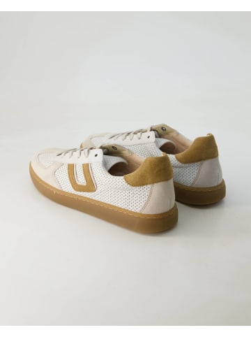 Gabor Comfort Sneaker low in Beige