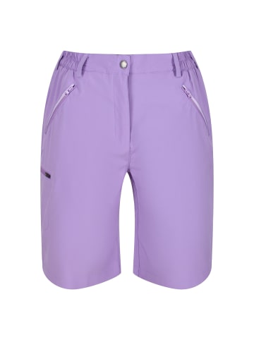 Regatta Outdoorshorts Xert It in LightAmethys