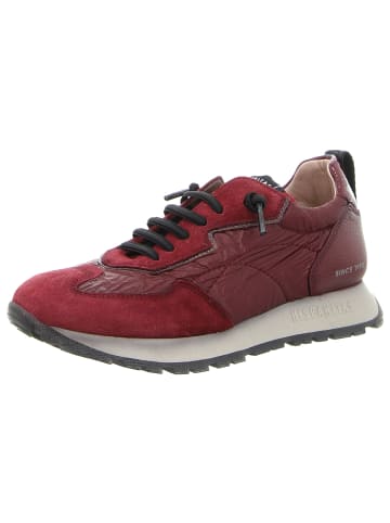 Hispanitas Schnürschuhe in wine