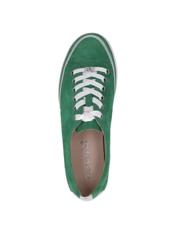 Caprice Sneaker in GREEN SUEDE