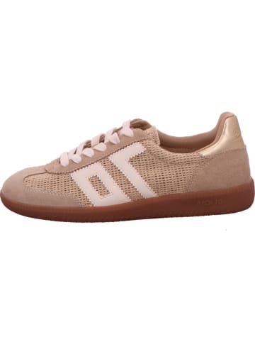 Back 70 Sneaker in beige