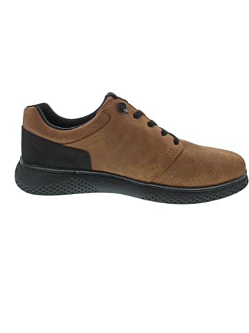 Bugatti Dexter Schnürer Braun