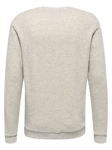 Hummel Sweatshirt Hmllgc Austin Erwachsene in LEGACY MELANGE