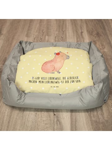 Mr. & Mrs. Panda Katzenkorb Capybara Blume mit Spruch in Gelb Pastell