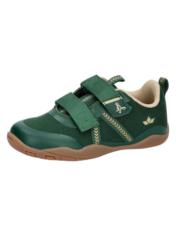 Lico Sneaker Barfuß-Schuh in grün