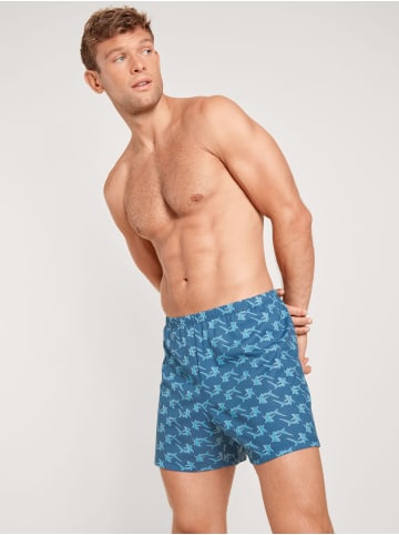 Calida Boxershorts in Indian blu