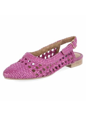 Bullboxer Slingballerinas in pink