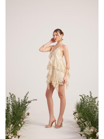 Holly Lolly Kleid in Beige