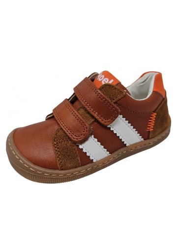 KOEL Klettschuh Denis in Braun