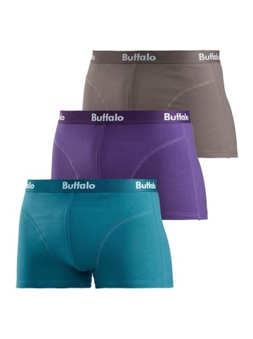 Buffalo Boxer in lila, petrol, grau