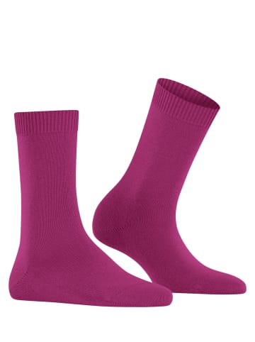 Falke Cosy Wool Socke in Berry