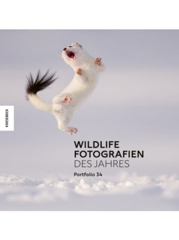 KNESEBECK Buch - Wildlife Fotografien des Jahres - Portfolio 34