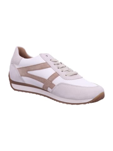 Gabor Sneaker Low in offwh/sand/powder