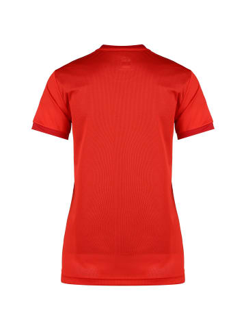 Puma Fußballtrikot teamGoal 23 Jersey in dunkelrot / rot