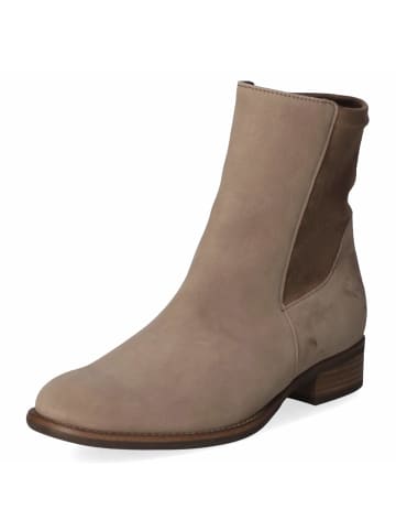 Gabor Stiefeletten in braun