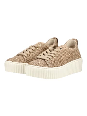 Gabor Sneaker in Sand