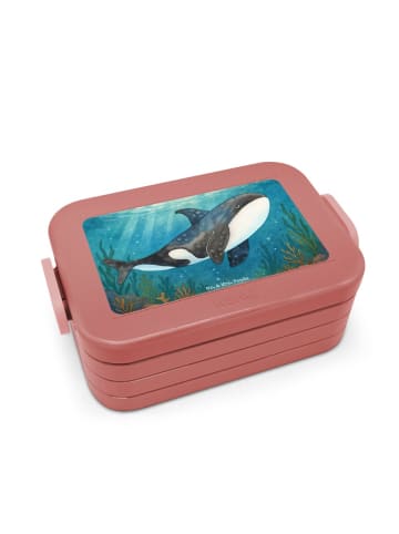 Mr. & Mrs. Panda Frischhaltedose Orca Design ohne Spruch in Rot Pastell