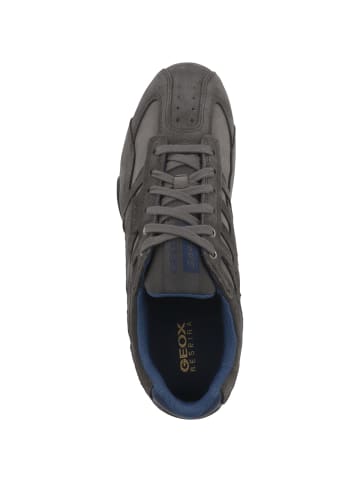 Geox Sneaker low U Snake A in dunkelgrau
