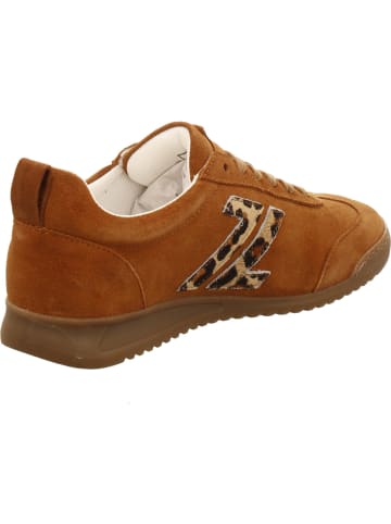 LLOYD Klassischer Schnürschuh in braun
