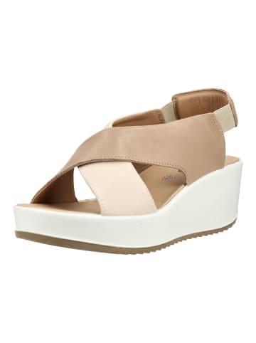 Igi&Co Sandalen in Braun/Beige