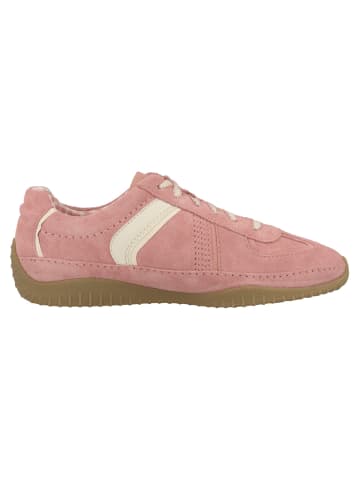 Clarks Sneaker low Meridor Lo in pink