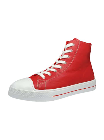 Andrea Conti Sportliche Schnürschuhe in Rot