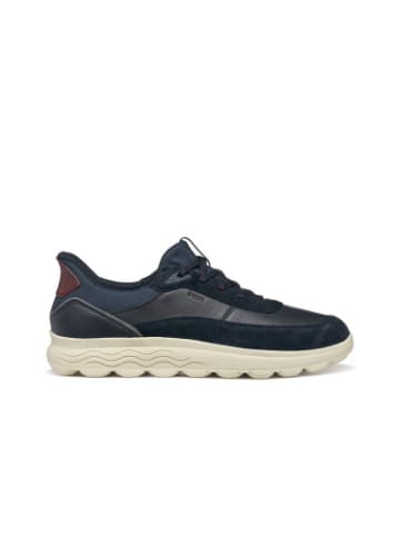 Geox Sneackers U in Navy/Dk Avio