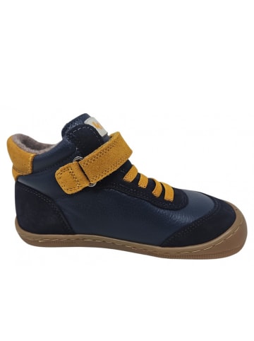 KOEL Barfußschuhe Daniel 3.0 in Blau