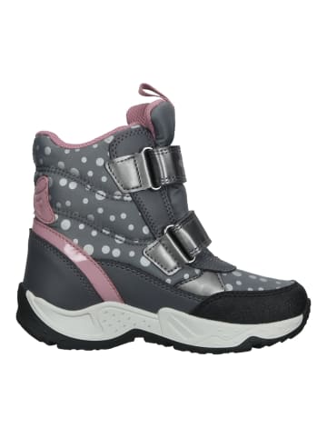 Geox Stiefelette in Grau/Pink