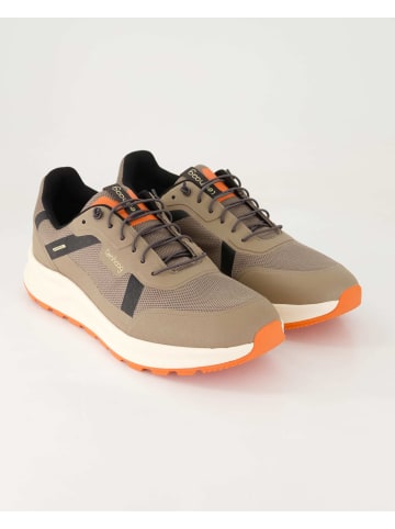 Tenhaag Slip On Sneaker in Braun